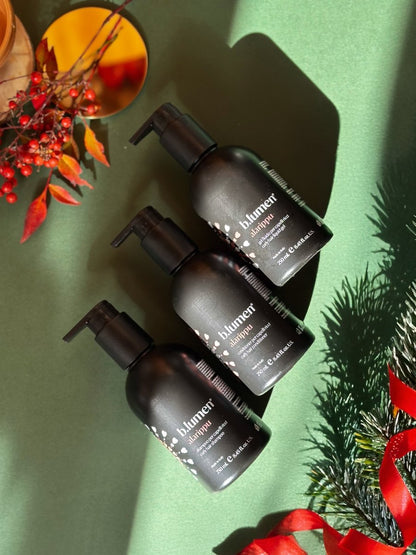 XMAS BOX ALARIPPU – Ricci Perfetti &amp; Definiti - B.lumen® Prodotti Naturali per Capelli